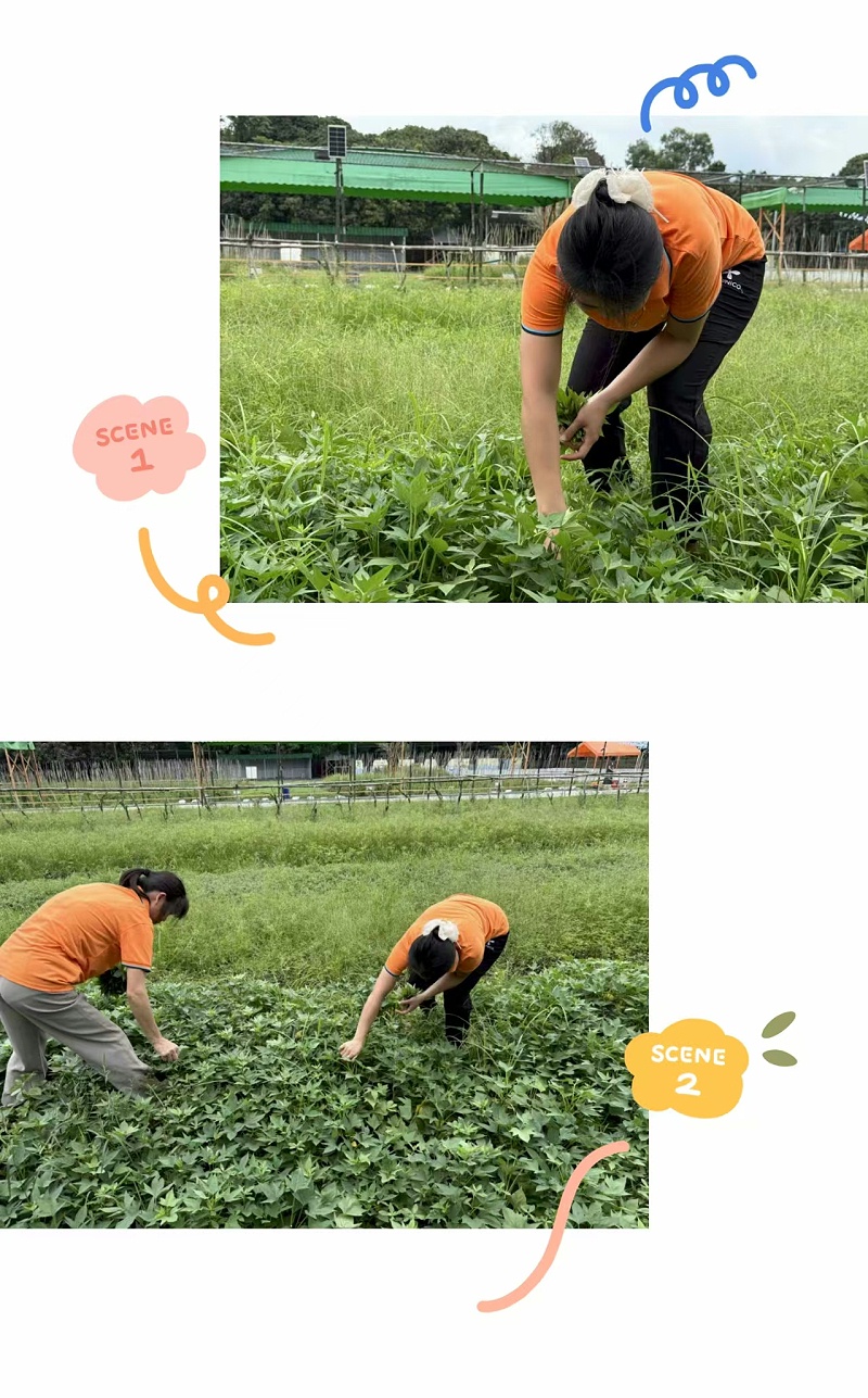 5d4038eb82752a0ecd4f2f6b54ce53f6