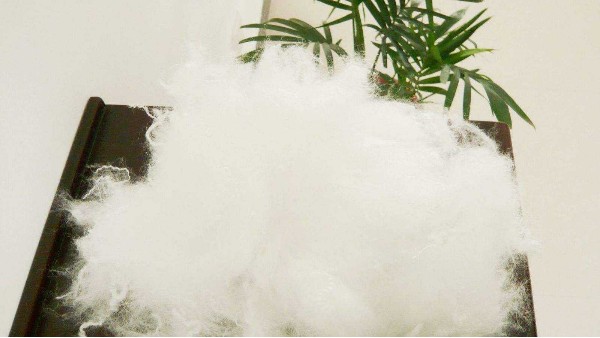 新溶劑法再生纖維素纖維關鍵技術及應用科技成果在壽光推廣