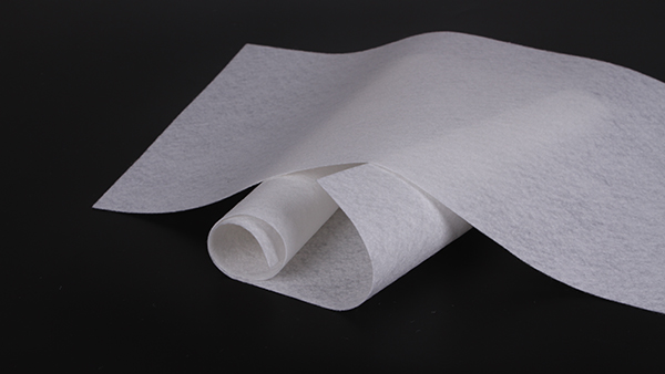 一帶一路：中國企業如何“走出去、融進去”？