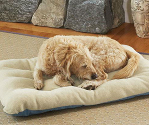 寵物墊應用場景