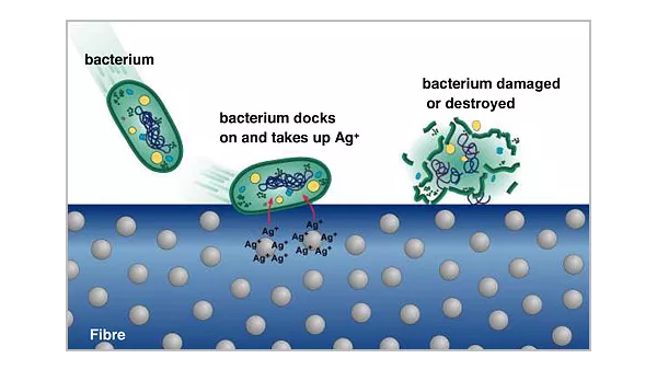 抗菌紡織品加工、發展及應用