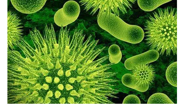 以色列抗菌涂層技術可用于醫(yī)用紡織品處理